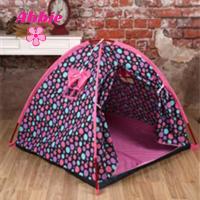 Abbie Rainbow  008 B.P