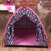 Abbie Rainbow  008 B.P