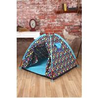Abbie Rainbow  008 S.T